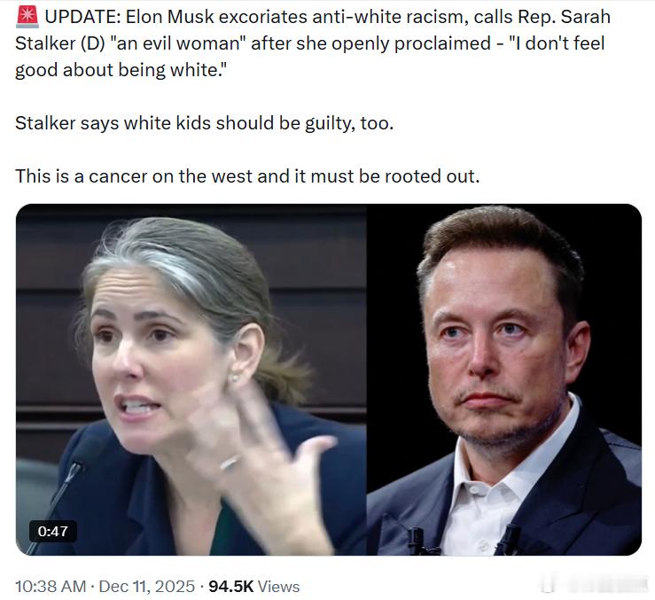 埃隆·马斯克猛烈抨击反白人种族主义，称民左党众议员莎拉·斯托克尔是“一个邪恶的女