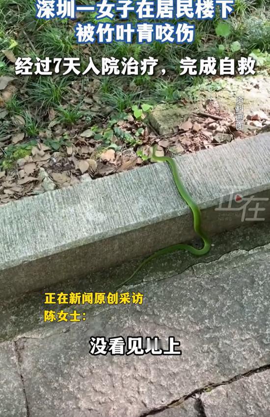 广东深圳，一女子去朋友家串门，晚上回家时突然觉得脚上一疼，低头一看脚边竟然有一条