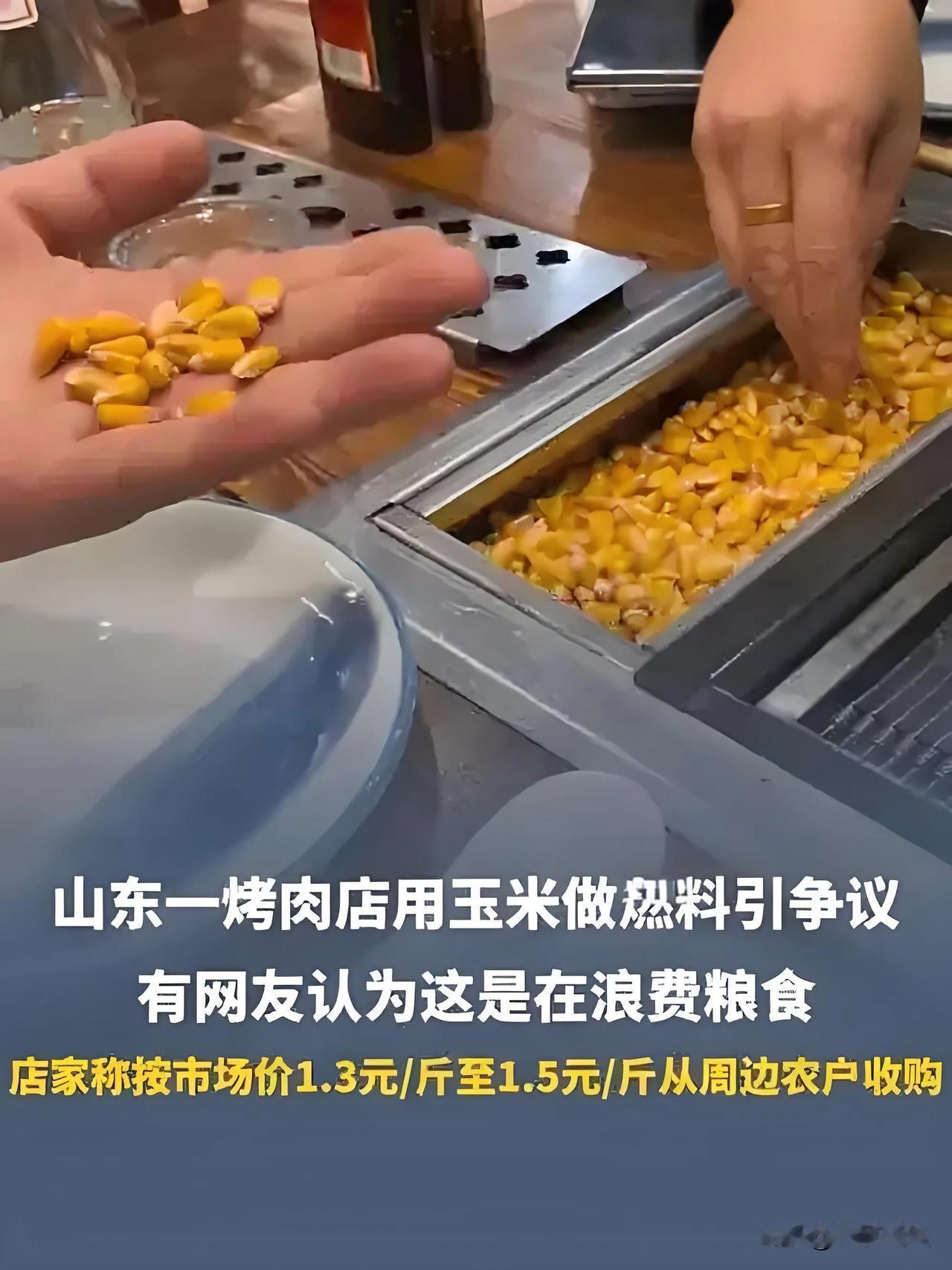 暴殄天物了，玉米作燃料烤肉？是助农？烤的肉香？真是浪费粮食了！滞销不是浪费粮食的