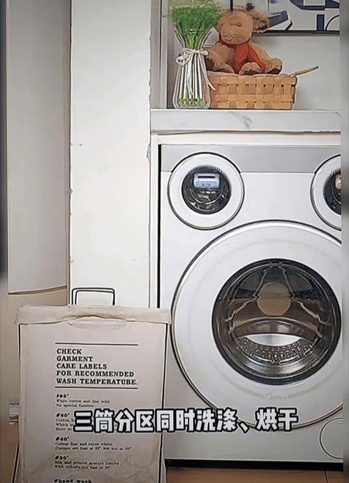 外国人都这么洗吗？当保姆把袜子，内衣，外罩一起装入洗衣机，我立即开吼，没想到她一