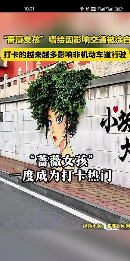 哭泣的花冠女孩因为影响交通，山东济南的戴着美丽花冠的蔷薇女孩被白白的石灰抹去了