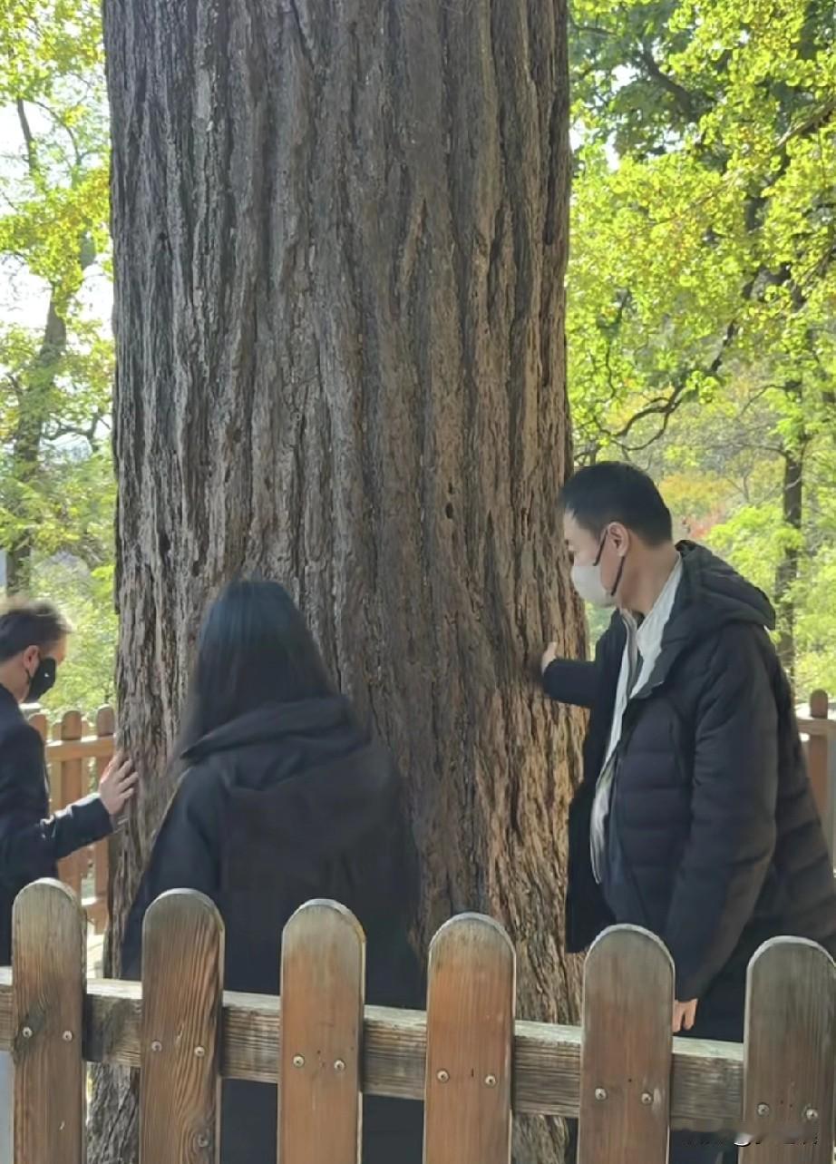 辛柏青，媛媛是幸福的！我知道辛柏青在给媛媛祈福，还有李乃文，唐旭，看到辛柏青有