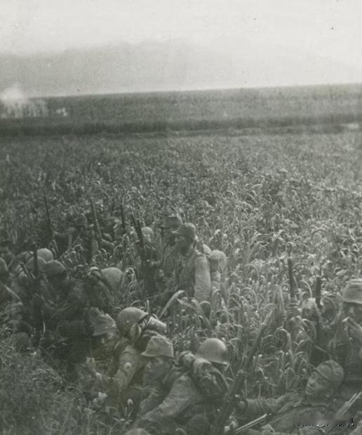 1937年，机枪手卿伯金正在放哨，稻田中突然传来了奇怪的水声，他摸过去一看，顿时