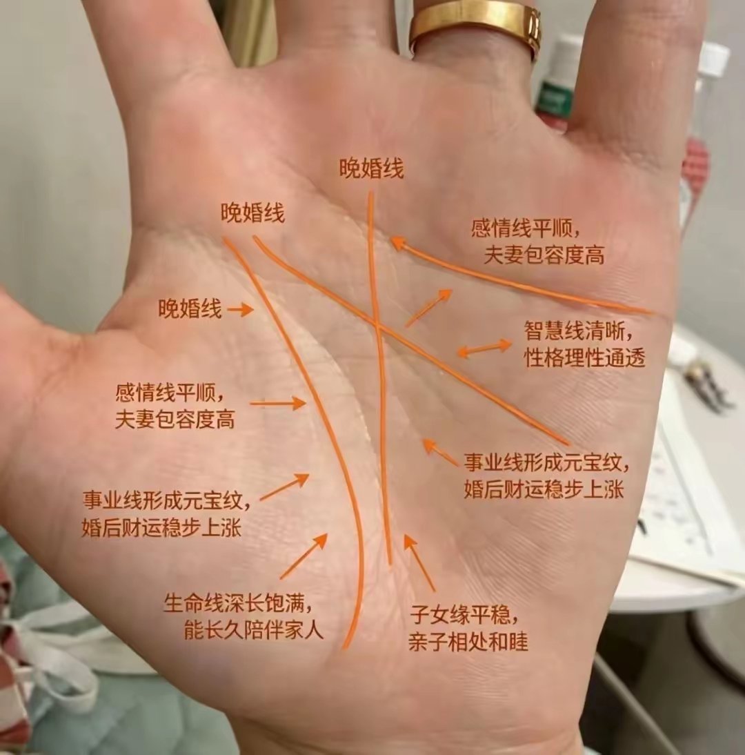 帮你看手相