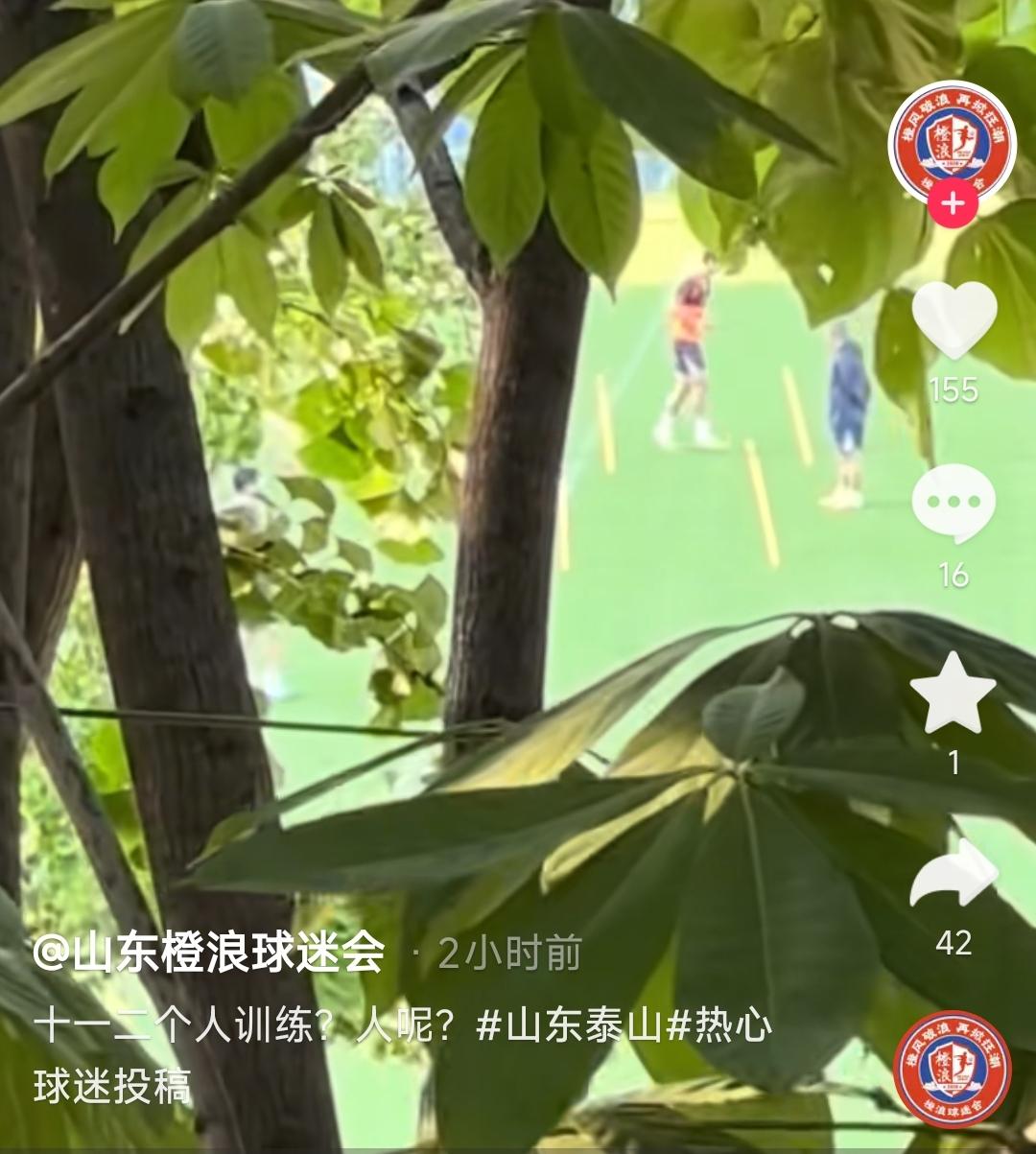 泰山队又整啥幺蛾子呀？橙浪球迷会长：只有十一二个球员参加合练。人都去哪了呀，看