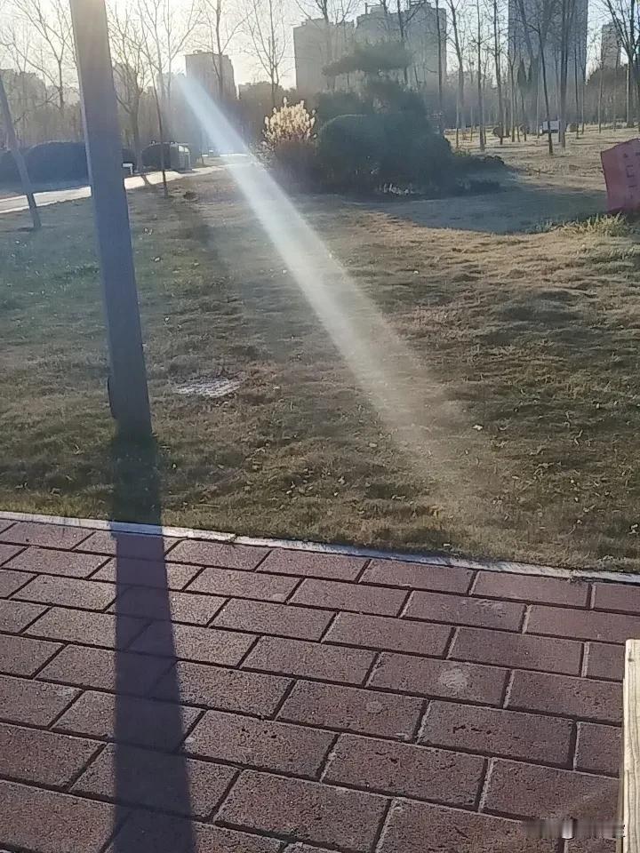 这几天我在接受“地疗”，精神感觉好多了，感觉中医还挺好的，“地疗”就是“大地疗法