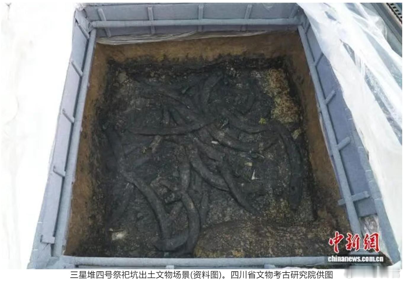 考古新发现解码古蜀文明四川省文物考古研究院联合首都师范大学在《考古科学杂志》