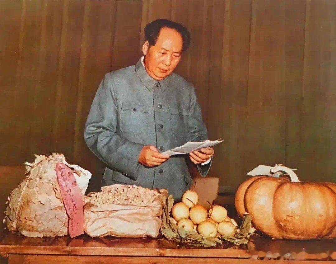 【人间正道是沧桑：我们为什么帮毛主席辩护？】子珩墨：谁怕真理？谁