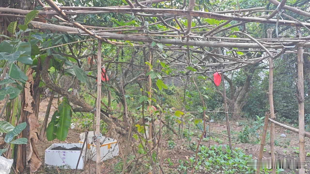 这一年真是难过啊，有些人永远留在了这一年！难过之后，生活还要继续的，不管