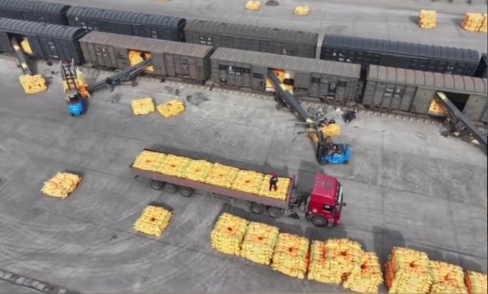 印度又要坏事了，单从价格来看，印度560万吨尿素招投标要黄！供应商给出的最低报价