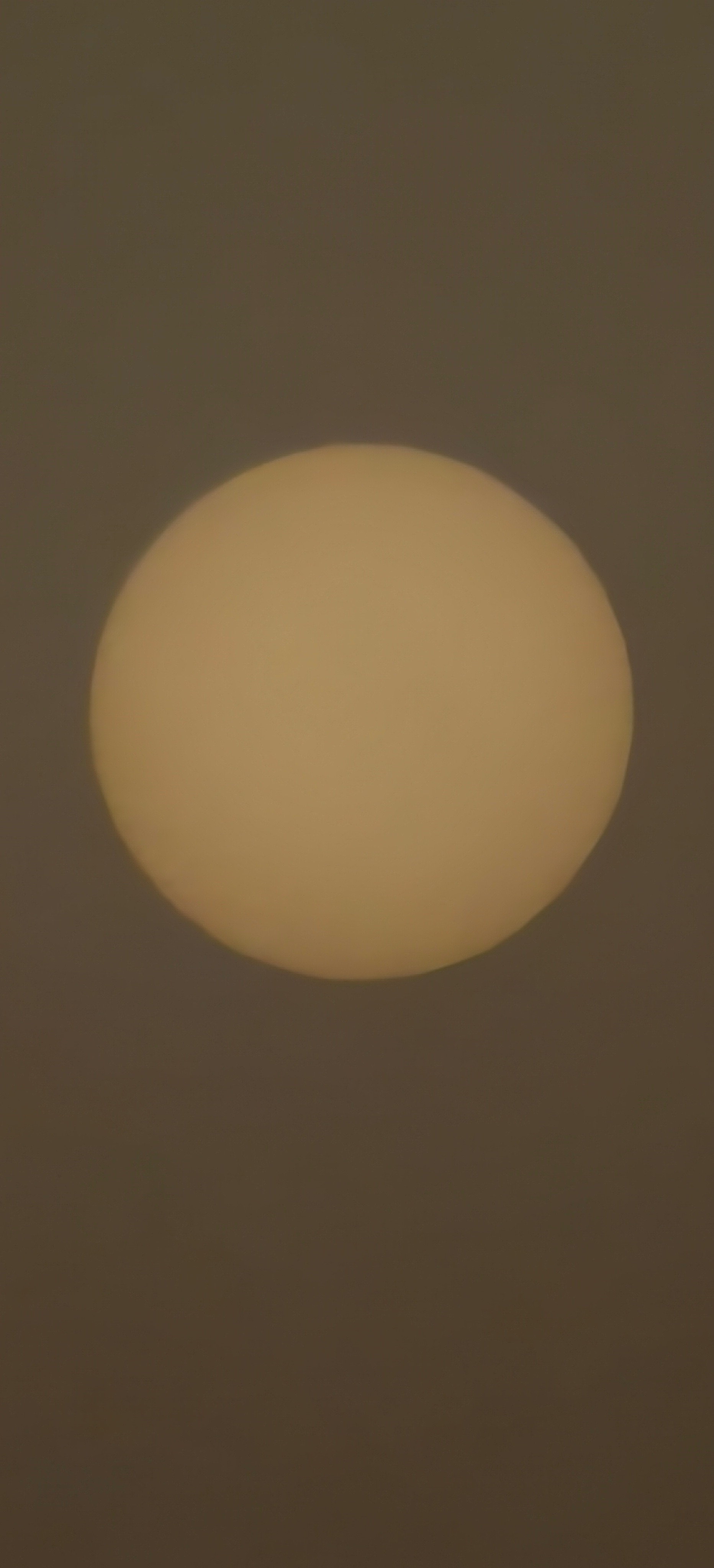 今天的太阳～日常分享