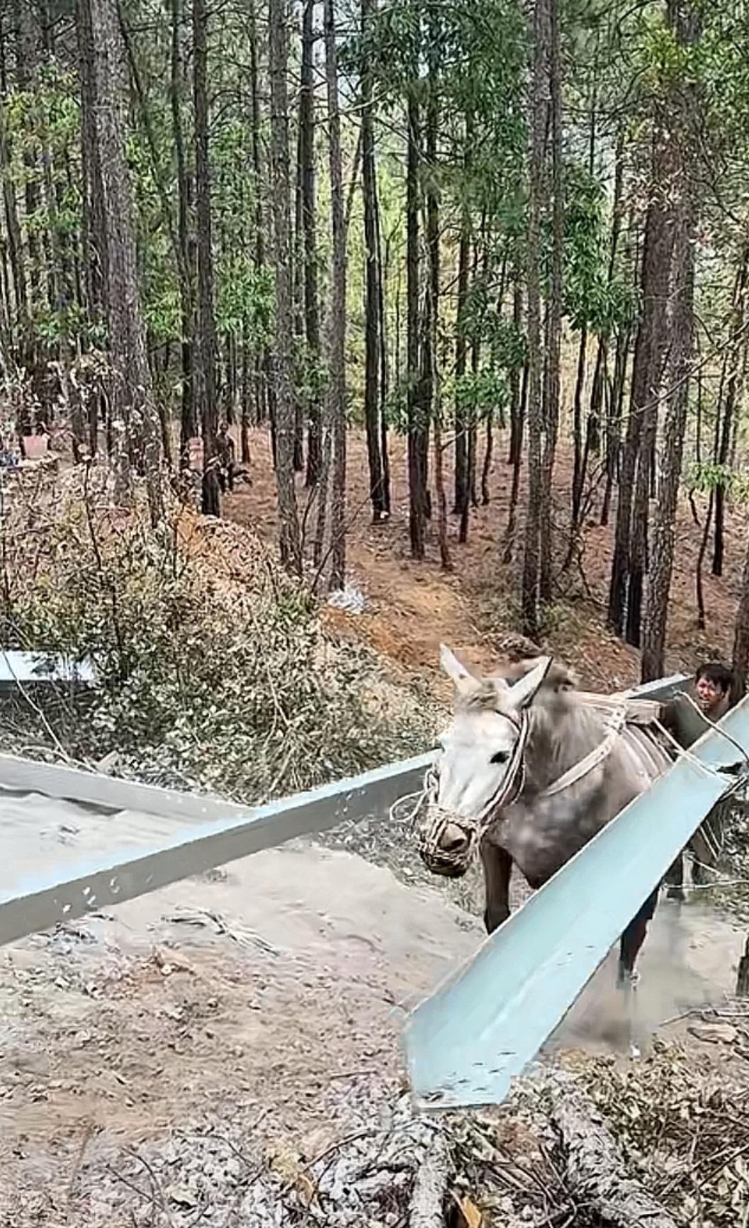 站在景区门口刷到这个视频，一时间竟然有些语塞。两匹骡马，几个工人，在崎岖的山野