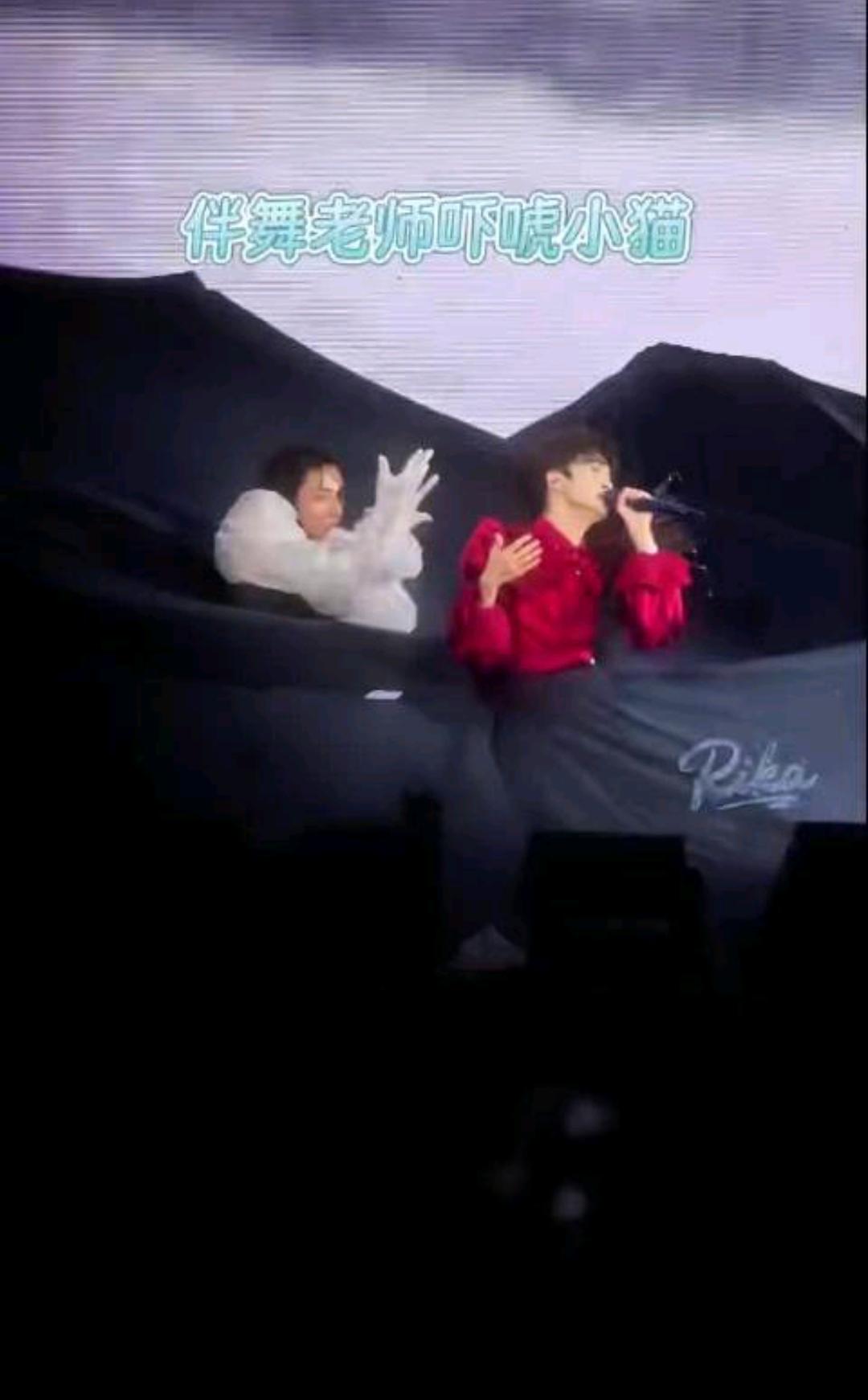 笑不活了！周深猫塑实锤封神。官方认证逗猫棒+臭鳜鱼，抽象到离谱还超淡定。谁懂