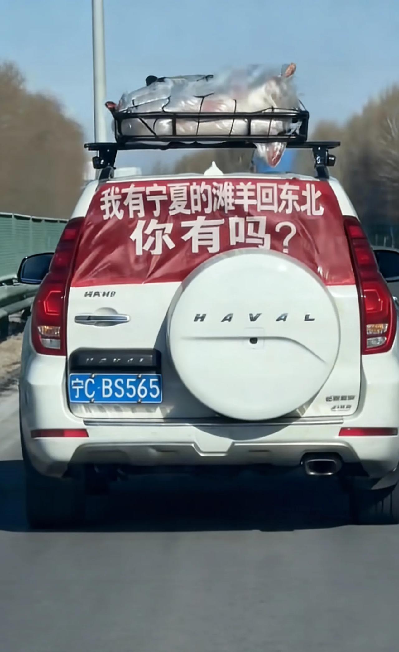 宁夏女子车顶绑羊回黑龙江，到底是炫羊还是宣传？春运千里归途，最扎眼的一幕出现