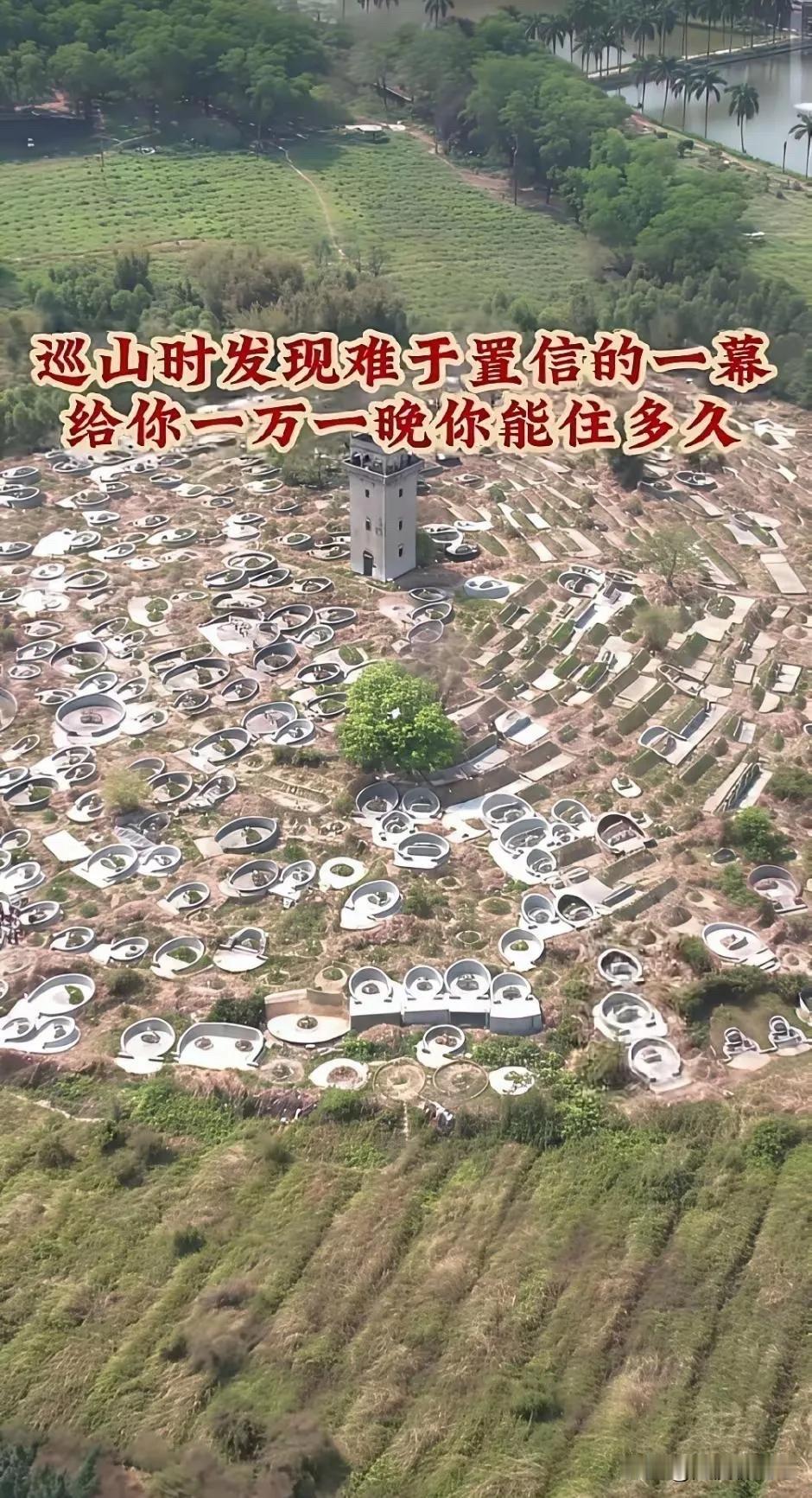 这个我能住到退休！