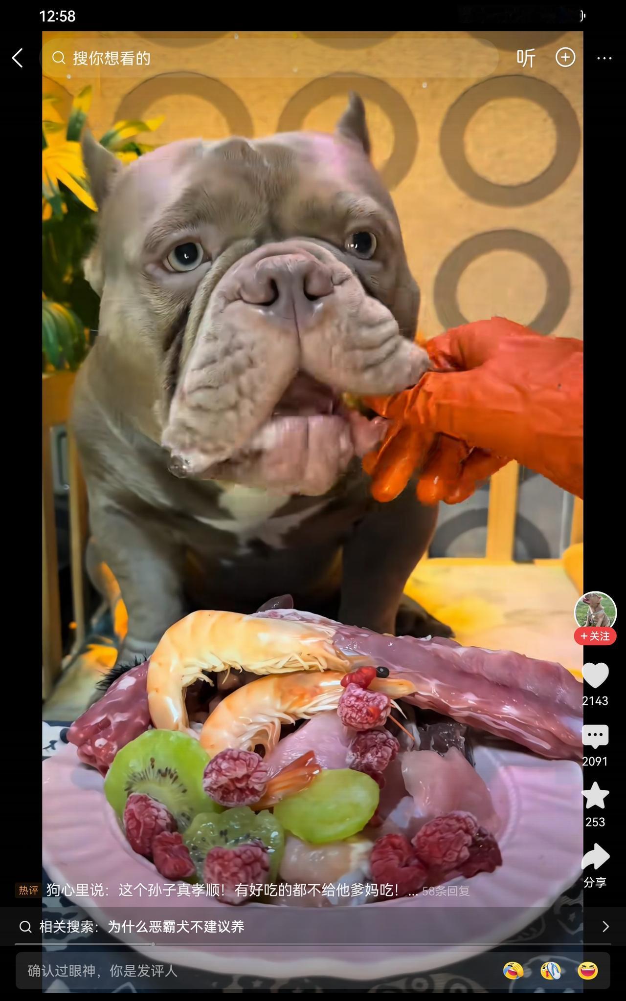 你猜，狗主人父母能吃上这些东西吗