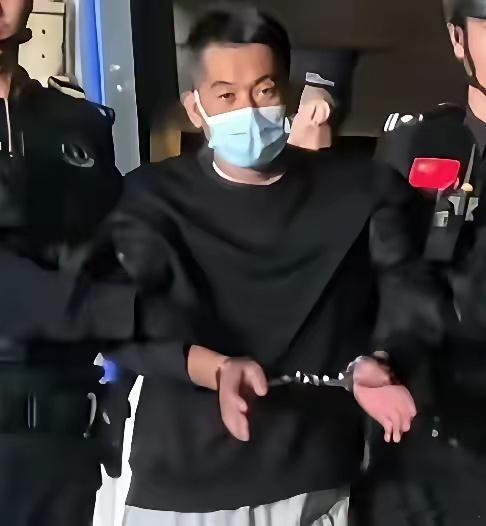佘智江，早在2022年8月就在泰国的日料店被抓获，可他不甘心，一直上诉拖延，一直