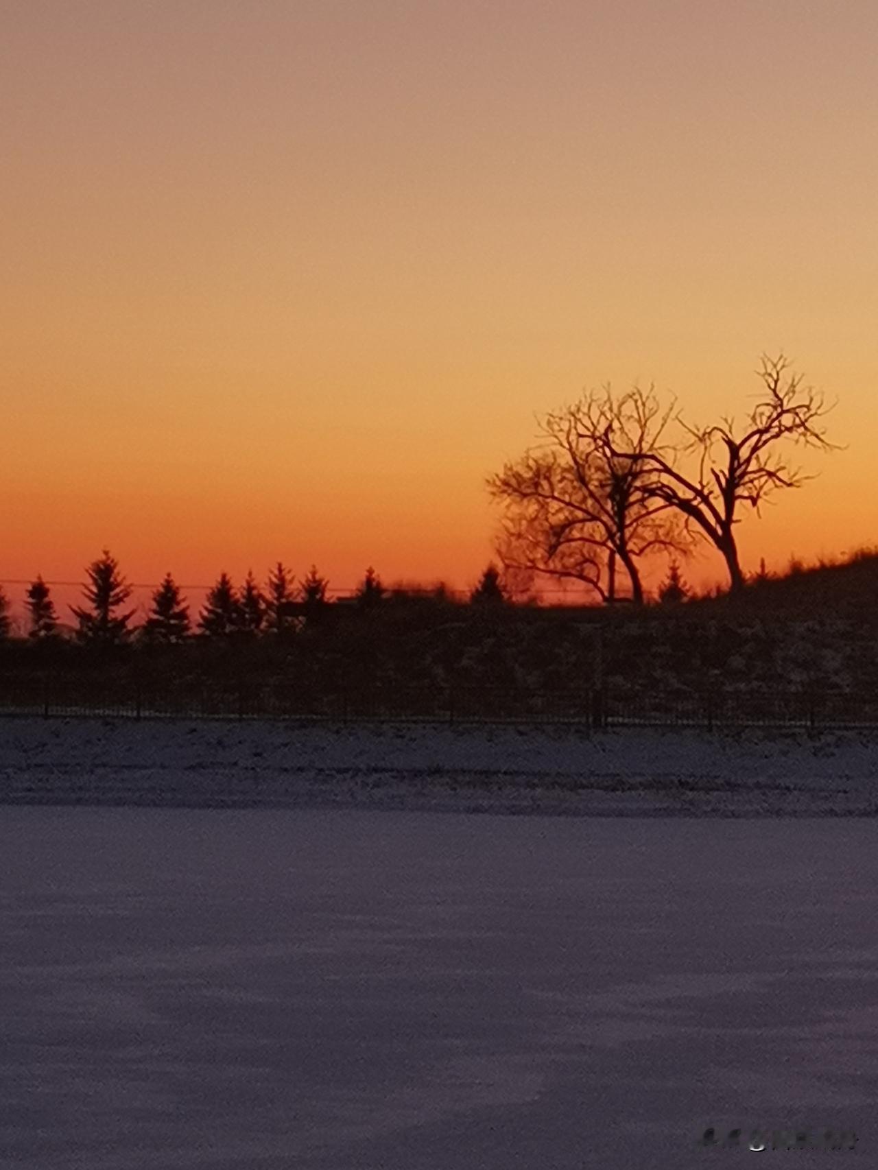 穷人想翻身，别瞎忙！就靠这几招踏实干穷人改变命运，从来没有什么捷径，更别信