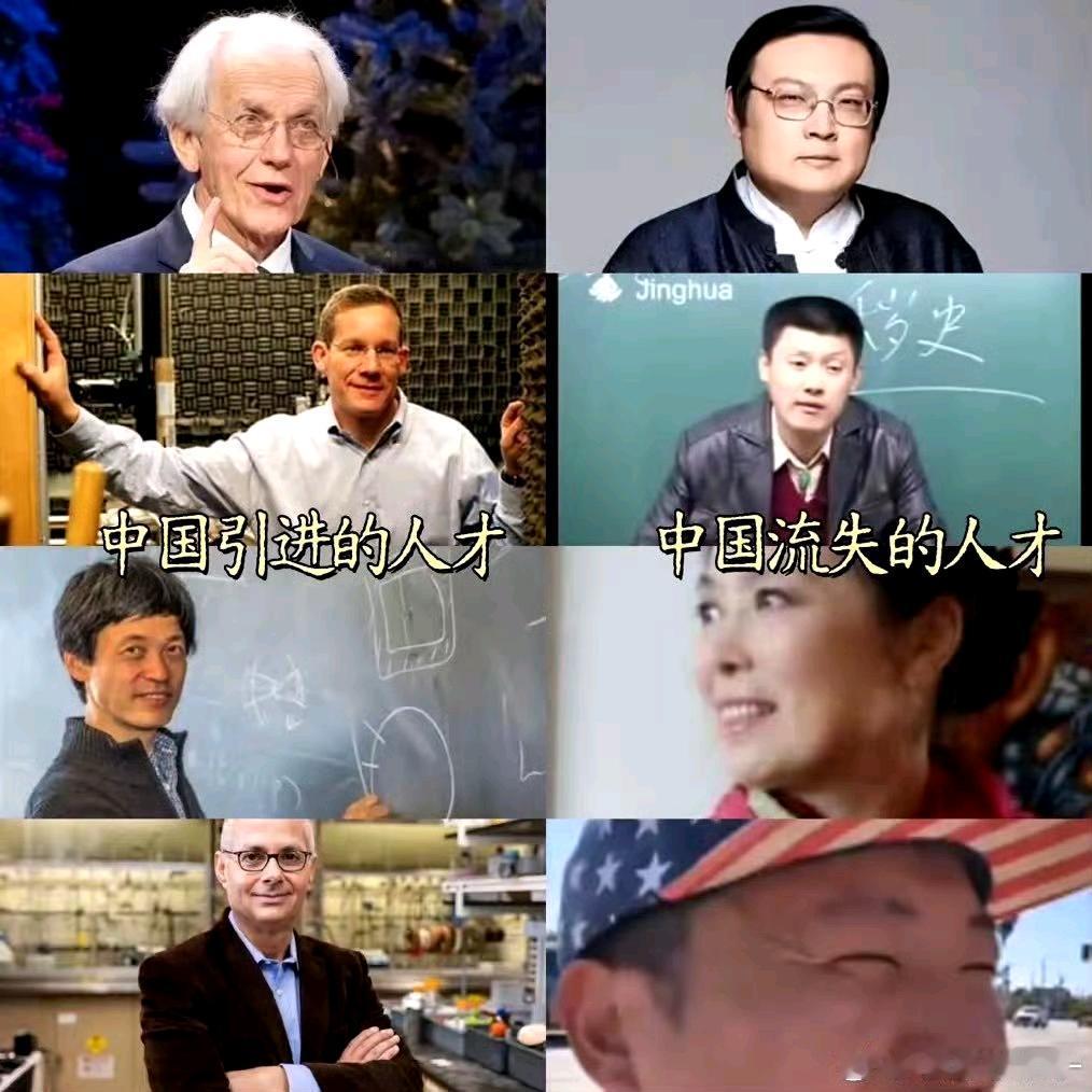 中国流失的人才和中国引进的人才！