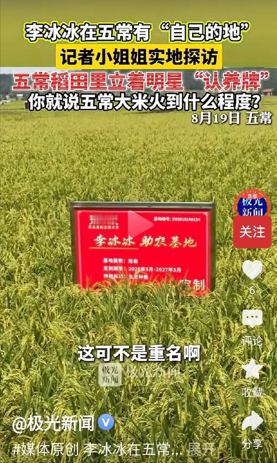 近日，“李冰冰在黑龙江五常有自己的地”话题引发网络热议，不少网友看到稻田里立着