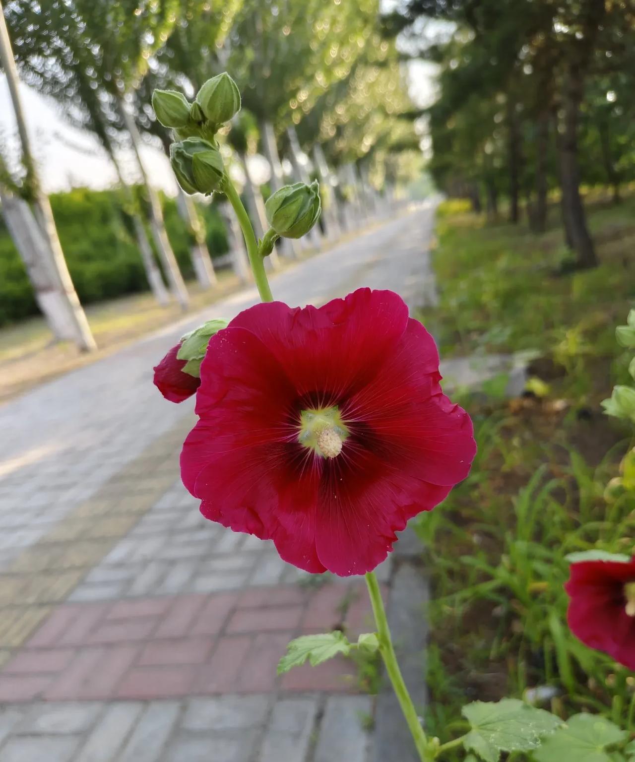 人与人之间的智商和能力，的确有差异。但在自己的范围内发光，无论何时起步，都不算晚