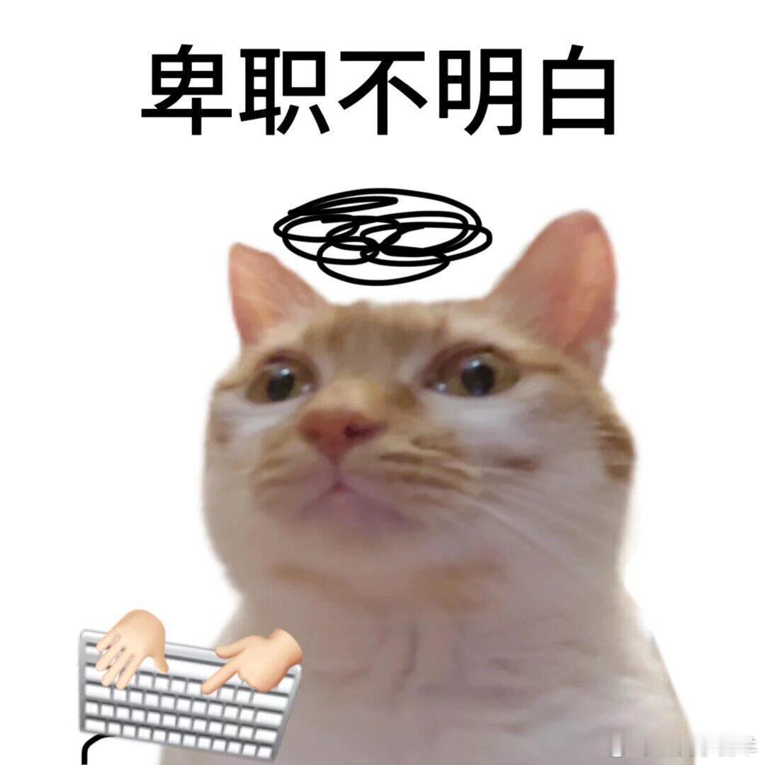 卑职不明白趣图可爱表情包猫​​​