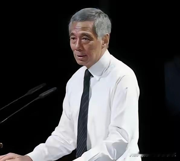 新加坡的焦虑彻底藏不住了！马六甲海峡的集装箱还在排着长队慢悠悠等泊位，海南洋