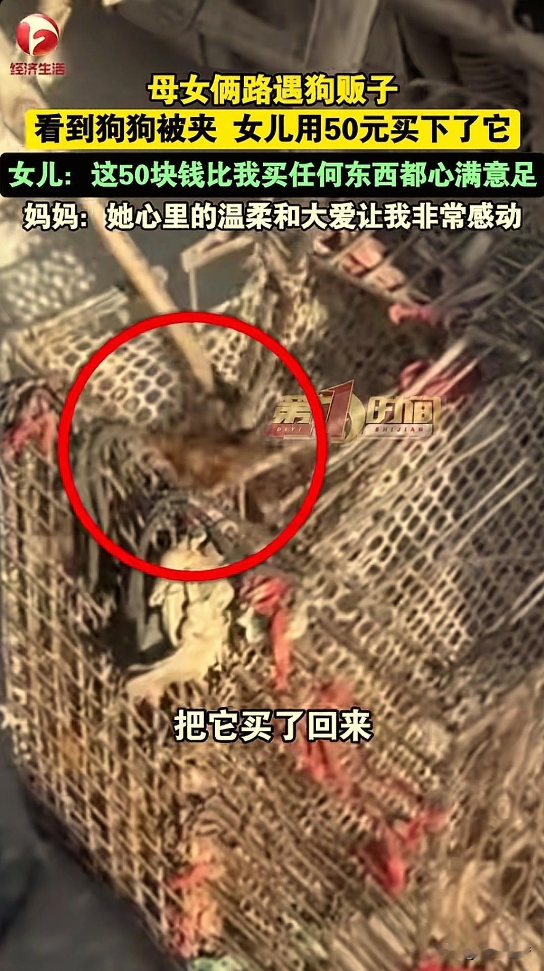 “太感动了！”安徽，一女子带女儿回家途中，忽然在路边看到心酸一幕：一狗贩子正拿着