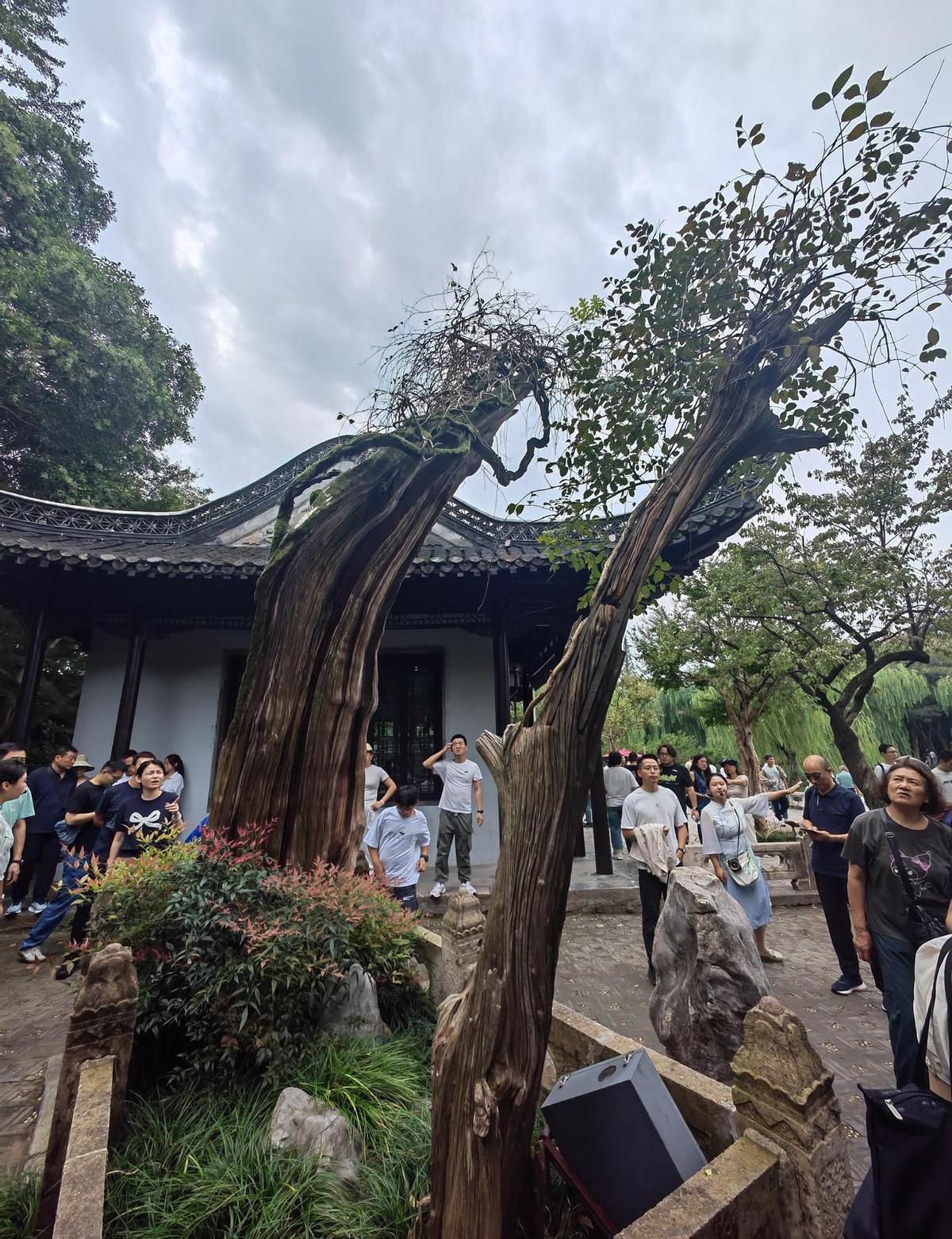 每天跑10公里？别硬撑了。世卫说，每天快走半小时，比你累成狗管用。7000