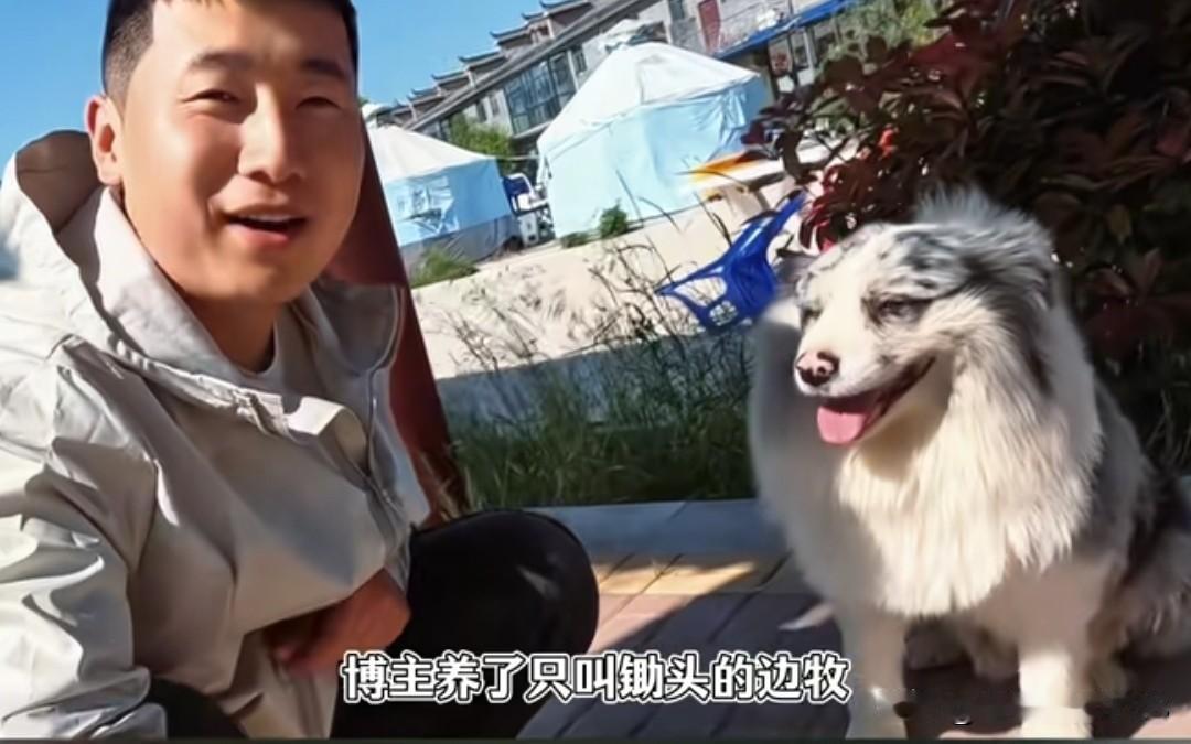 养了8年的网红狗被偷去卖肉，主人找上门被村民围攻：不就一条狗嘛！博主有只养