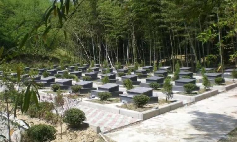 火化要免费了，太平间不许卖骨灰盒，老坟还能留吗？2026年3月30日零点起，