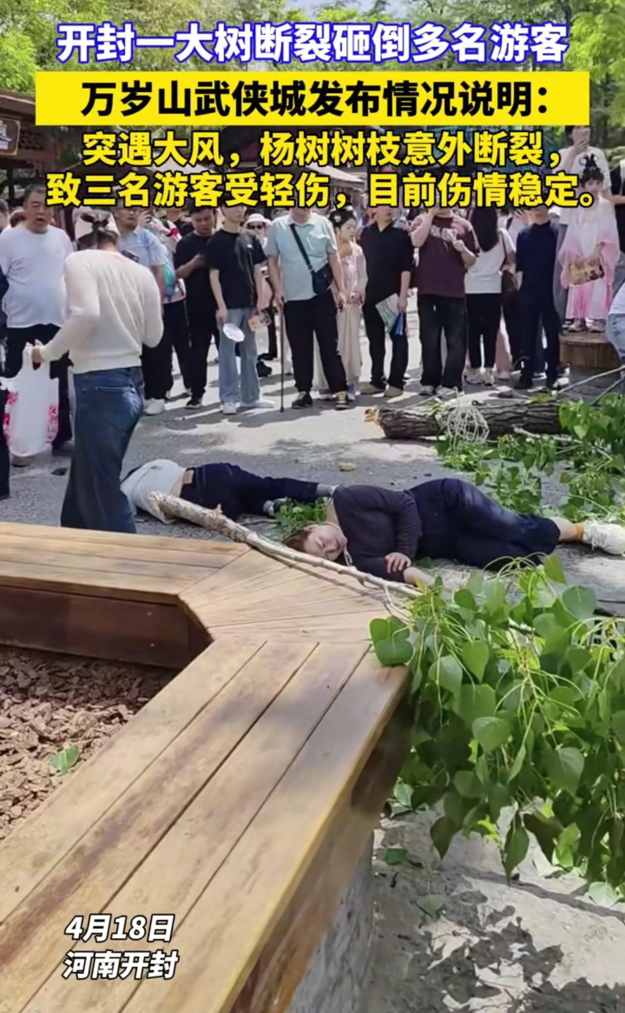 “万万没想到！”河南开封，万岁山景区几名游客正在大杨树下休息，突然上面有一根粗壮