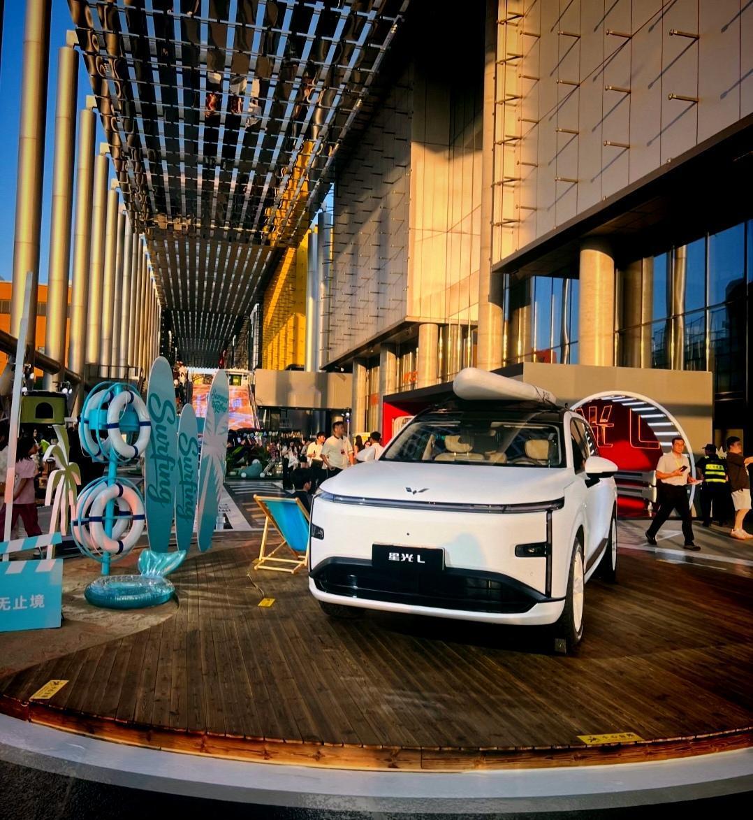 汽车专家建议的10万左右最值得入手的五款新能源SUV：第五名：极狐阿尔法T5