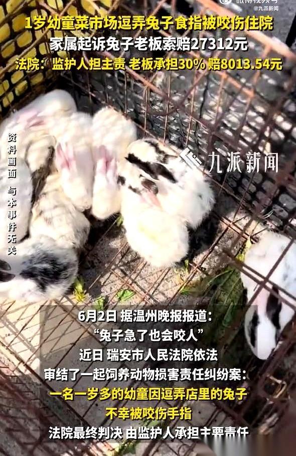 菜市场，柯某正弯腰在鱼摊前挑鱼，身后一声尖叫，她猛地回头。就在几米外的活兔摊，