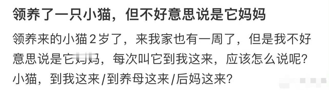 领养了一只小猫，但不好意思说是它妈妈？[抠鼻]​​​