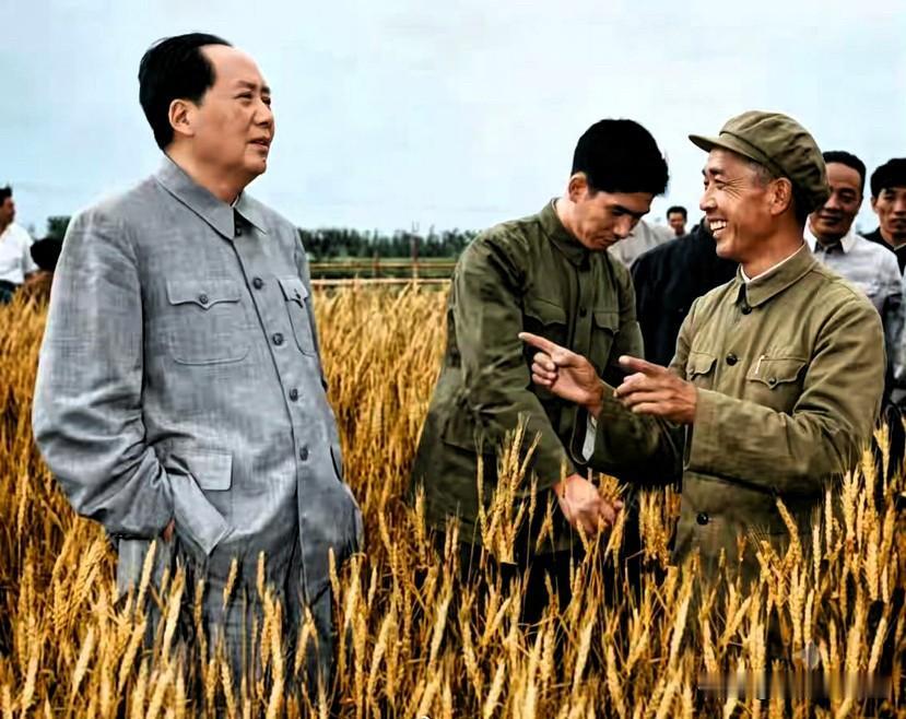 1960年5月11日，毛主席在河南郑州燕庄麦田视察。毛主席在视察完燕庄后，并