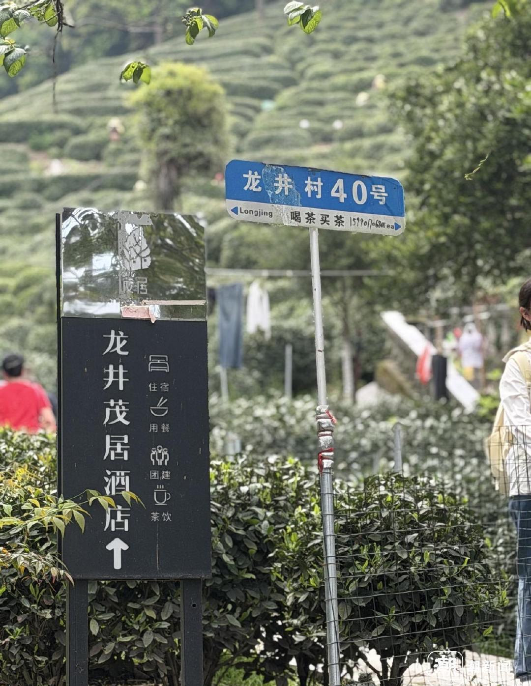 周杰伦打卡酒店挤爆！限流2小时，粉丝：为爱值得！周杰伦带妈去杭州龙井