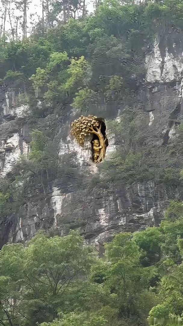 看见风水宝地发财树，指定发大财