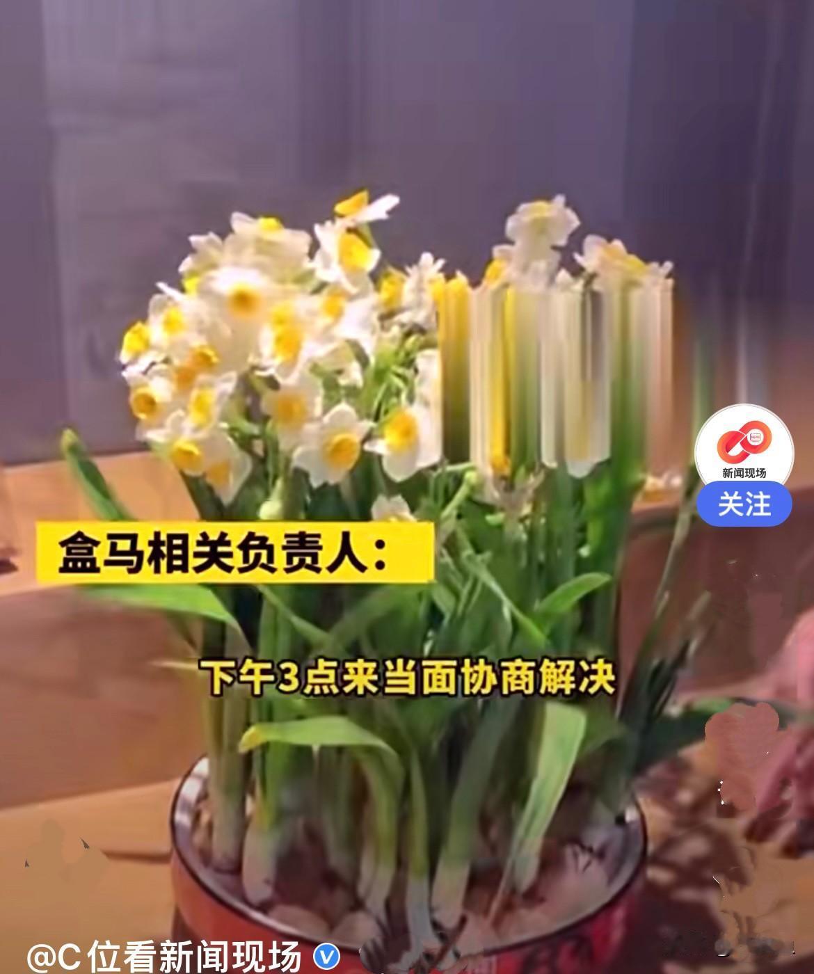 近日，北京一女子在盒马APP上买了鲜百合，等她出门回来的时候，盒马已经将有剧毒的