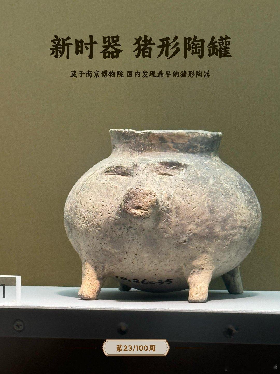 5000年前江苏人就养猪种水稻了今天才知道汉字里“家”的下面为什么是猪——远古社