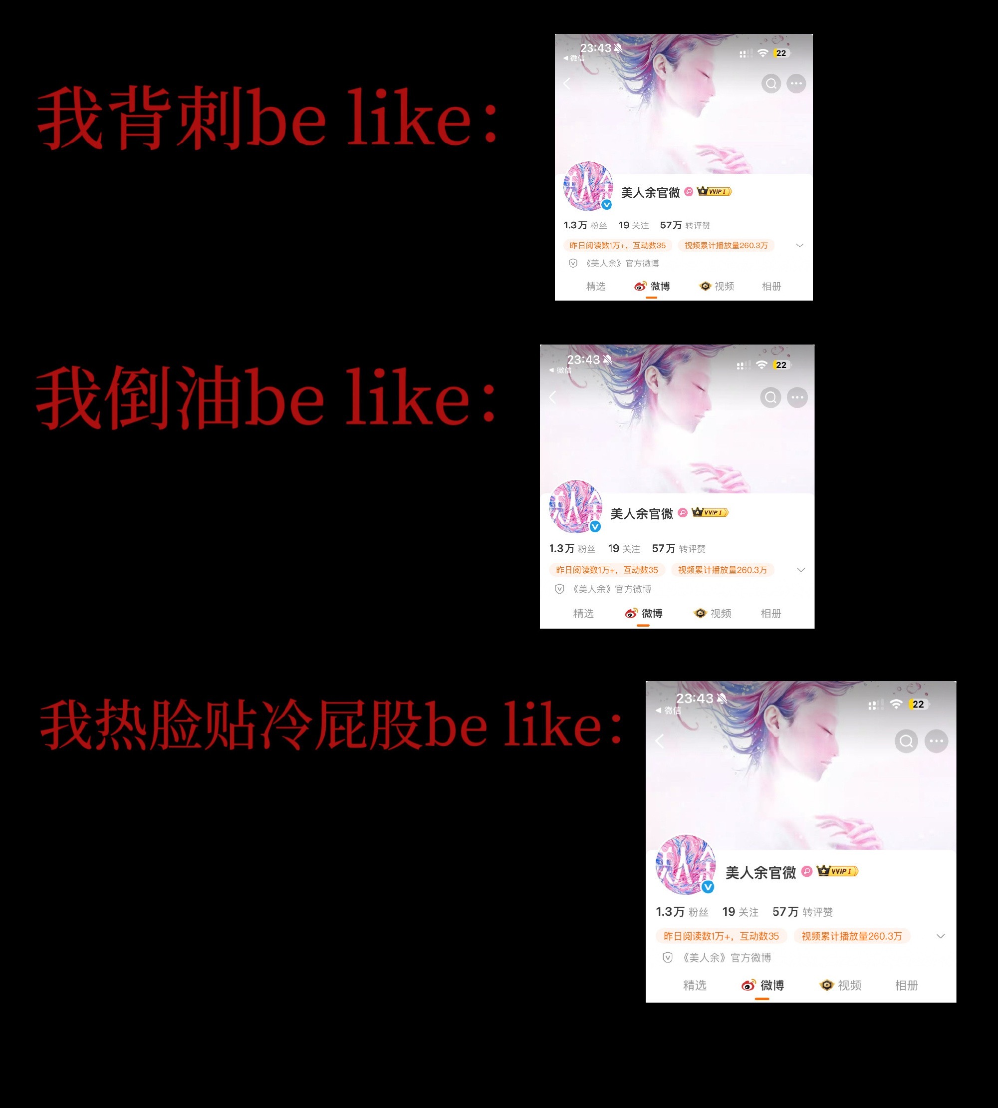 劳资当舔狗就跟它一样
