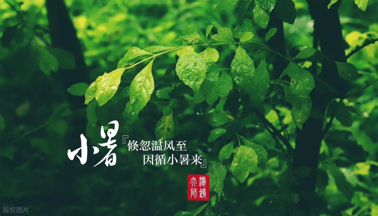 7月7日便是小暑节气了，而7月15日，则是三伏天的开始。老一辈常念叨一句老话
