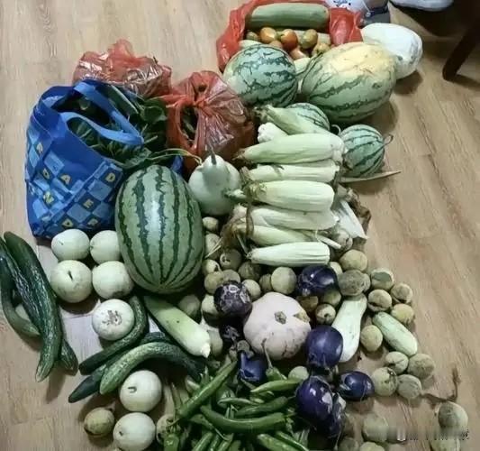 今天我家的穷亲戚又来了，远在100公里外农村的二舅每年都会雷打不动地来我家两次，