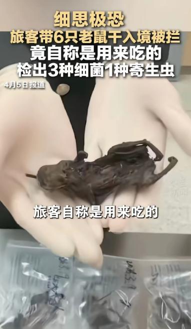 “细思极恐”！真的越想越让人后怕，2026年3月19号，合肥新桥机场海关，工作人