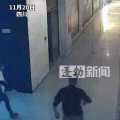 如此决绝，究竟所为何事？在四川某大厦的五楼，一名女子脚步匆匆地奔向栏杆，毫不犹