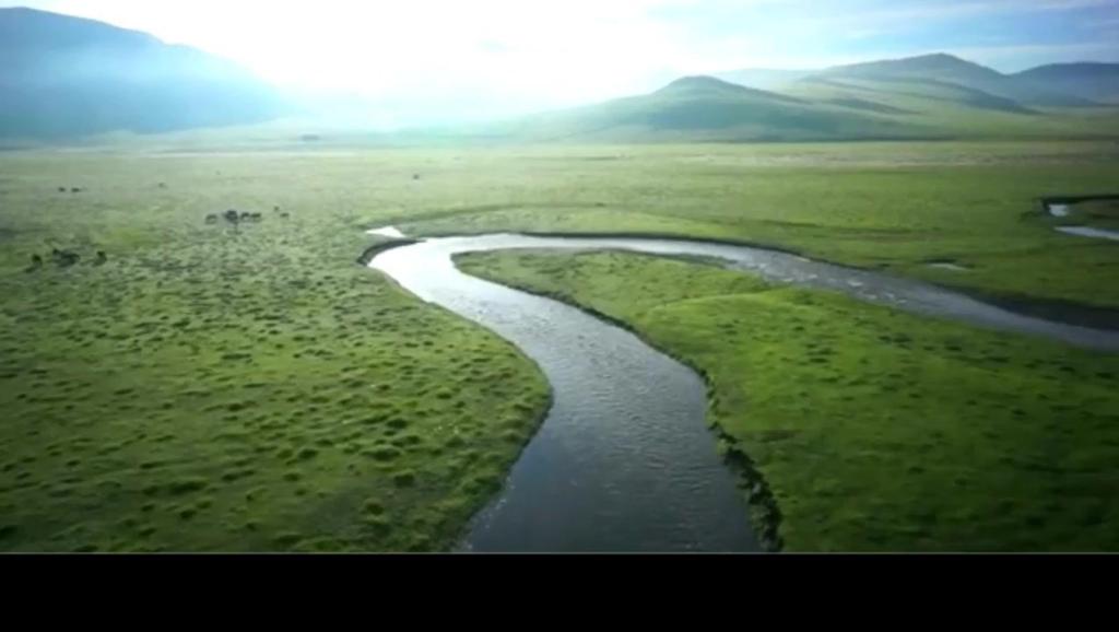 9258233034753944966.jpg?id=0