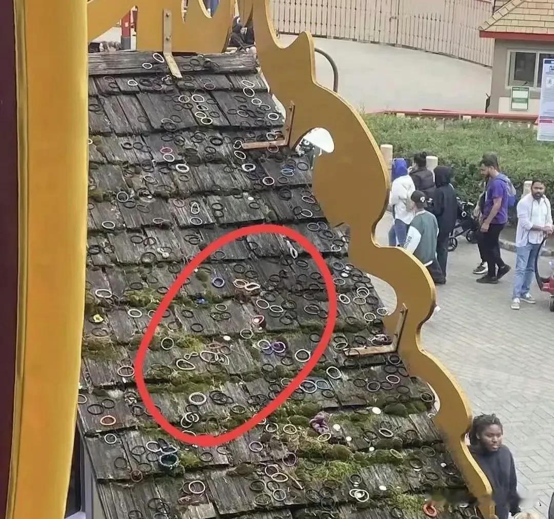 过山车下面好多这种东西，这到底是什么啊？？？