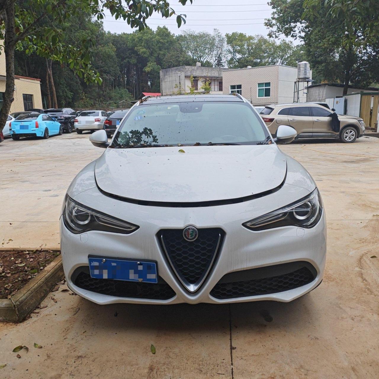 本来就小众，还是个翻车轱辘炮！白送都没人要！前两天帮粉丝验了一台Stelvio