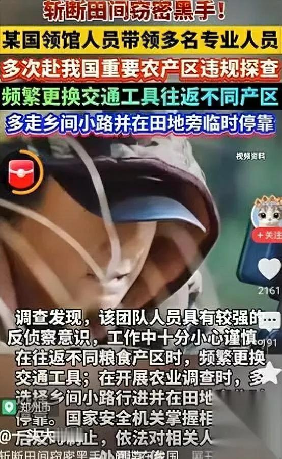 粮食地现可疑人？细查竟是间谍黑手！最近有迹象显示，部分粮食主产区出现不明人员