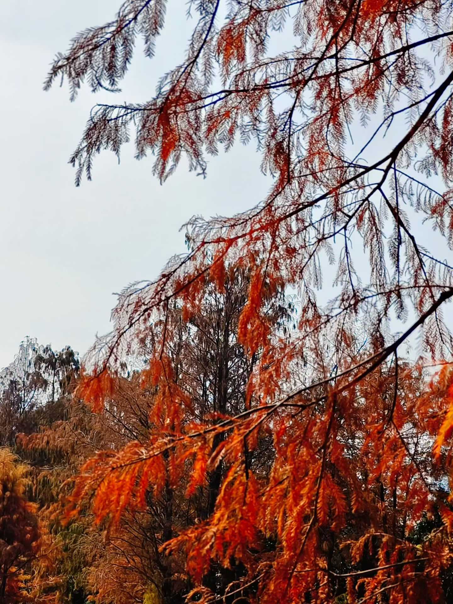 这股考古热